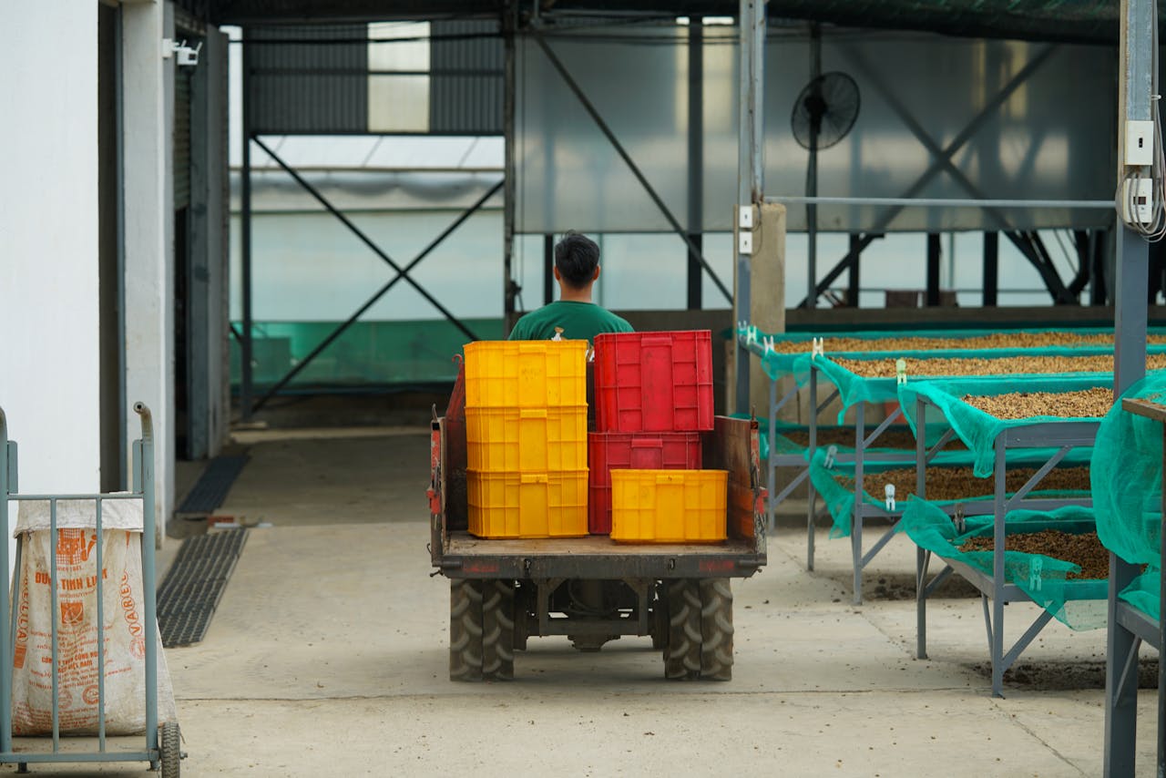 Coffee beans are processed in a modern warehouse in Lâm Đồng, Vietnam.
